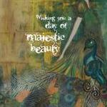Majestic Beauty 5x7 ART CAR..